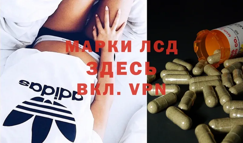 как найти наркотики  Курск  Лсд 25 экстази ecstasy 